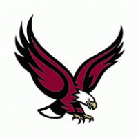 Boston_College_Eagles115[1] logo vector logo