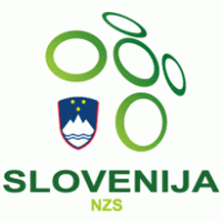 NZS logo vector logo