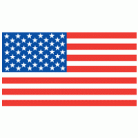 American Flag logo vector logo