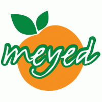 MEYED logo vector logo