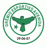 Gremio Esportivo Avenida de Soledade-RS logo vector logo