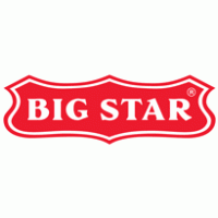 Big Star logo vector logo