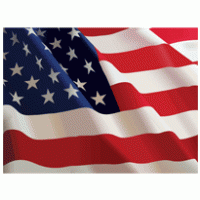 US Flag logo vector logo