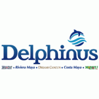 Delphinus logo vector logo