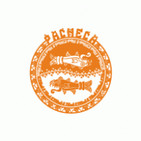 Survivor PI – Pacheca logo vector logo