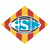 UE Santboiana logo vector logo