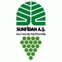 Sun Fidan logo vector logo