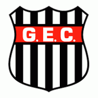 Guarani Esporte Clube de Blumenau-SC logo vector logo