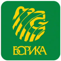 BORIKA logo vector logo