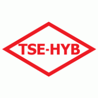 TSE-HYB logo vector logo