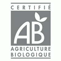 AB logo vector logo