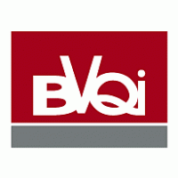 BVQI logo vector logo