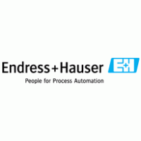 Endress Hauser logo vector logo