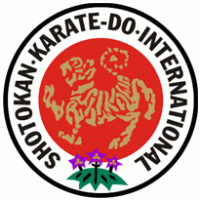 karate skif mexico logo vector logo