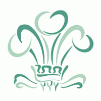 Surrey logo vector logo