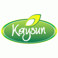 Kaysun logo vector logo