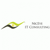 Niceye IT Consulting