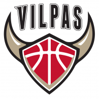 Vilpas Vikings logo vector logo