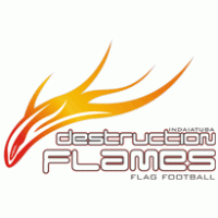 Destruction Flames logo vector logo