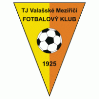 TJ Valašské Meziříčí logo vector logo