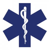 Estrella logo vector logo