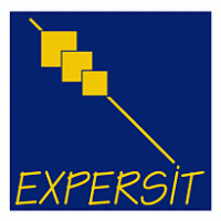ExpersiT logo vector logo