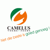 Camelius logo vector logo