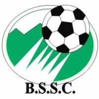 Blue Star SC logo vector logo