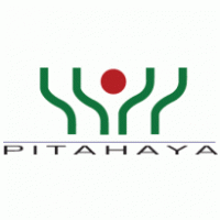 Pitahaya logo vector logo