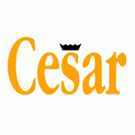 Cesar logo vector logo