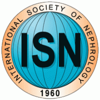 ISN logo vector logo