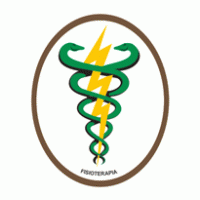 Physiotherapy Brazil – Fisioterapia logo vector logo