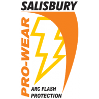Salisbury logo vector logo