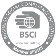 BSCI logo vector logo