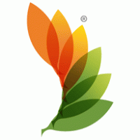 RACE_clean energy logo vector logo