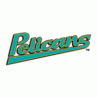 Myrtle Beach Pelicans logo vector logo