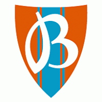 Vityaz logo vector logo