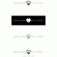 Bolzano Villetri logo vector logo