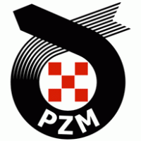 PZM logo vector logo