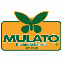 Mulato logo vector logo