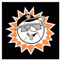 Hagerstown Suns logo vector logo