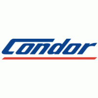 Condor logo vector logo
