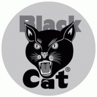 Black Cat Fireworks logo vector logo