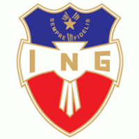 ING logo vector logo