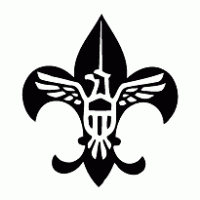 Scouting USA logo vector logo
