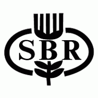 SBR Bank logo vector logo