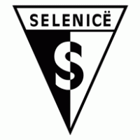 Selenice logo vector logo