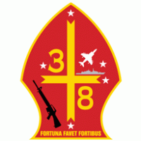 3rd Battalion 8th Marine Regiment USMC logo vector logo