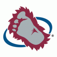 Colorado Avalanche logo vector logo