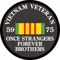 Vietnam Veteran logo vector logo